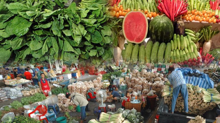 คมนาคมไอเดียเจ๋ง จับมือเกษตร ป้อนพืชผักให้บินไทยเสิร์ฟบนเครื่อง