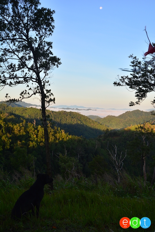 จุดชมวิวห้วยคอกหมู