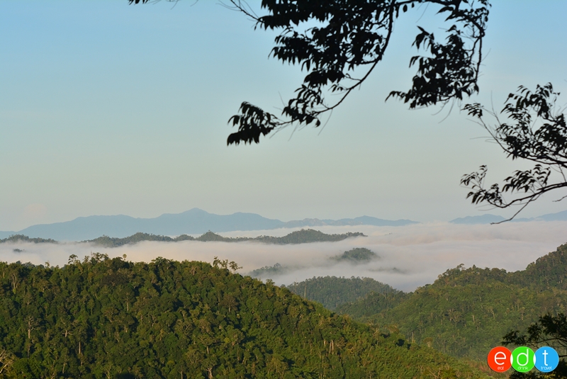 จุดชมวิวห้วยคอกหมู