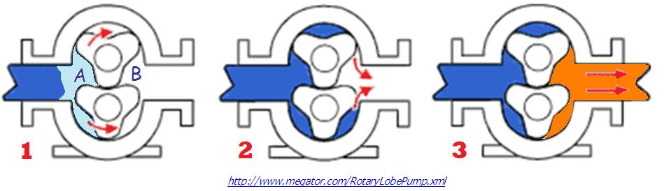 ปั๊มแบบกลีบลอน