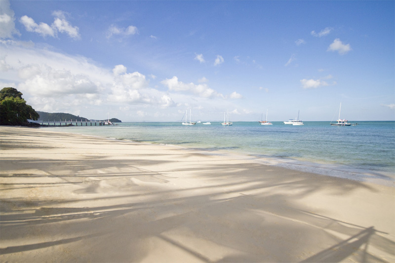 พันวาเฮ้าส์ พันวาเฮ้าส์