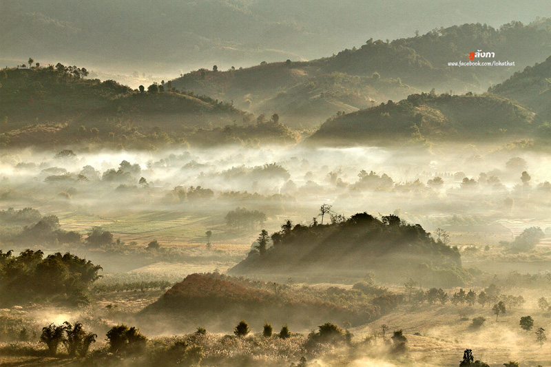 ภูลังการีสอร์ท