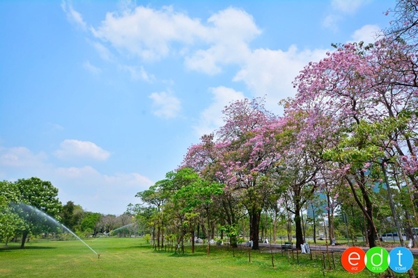 สวนวชิรเบญจทัศ (สวนรถไฟ)