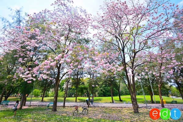 สวนวชิรเบญจทัศ (สวนรถไฟ)