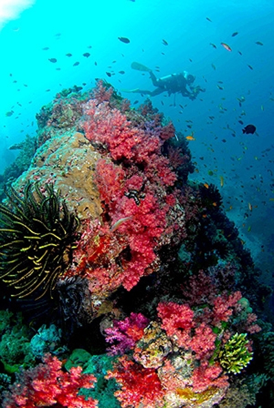 อุทยานแห่งชาติหมู่เกาะสุรินทร์