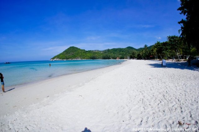 เกาะพงัน