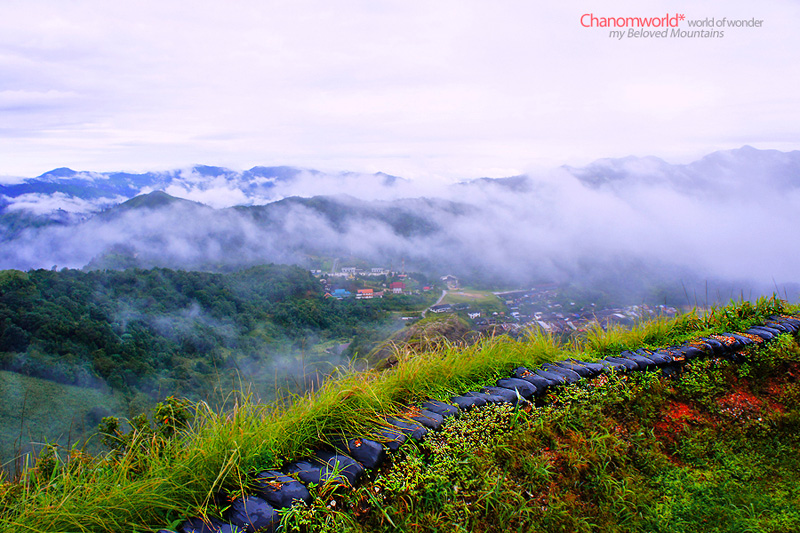 เนินช้างศึก