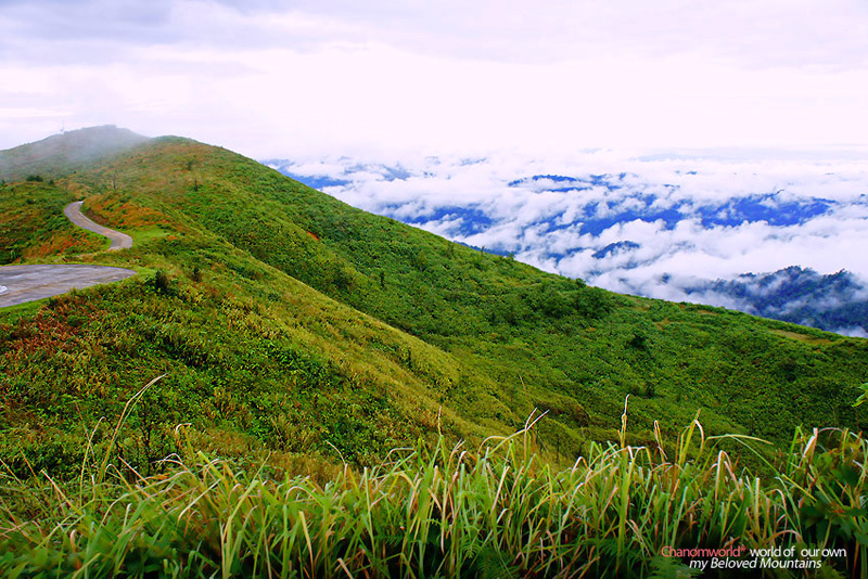 เนินช้างศึก