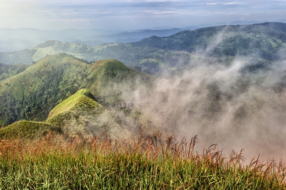 เขาช้างเผือก