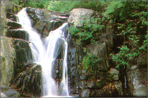 อุทยานแห่งชาติเขาชะเมา-เขาวง ระยอง