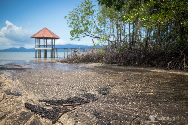 หาดทรายดำ แหลมงอบ