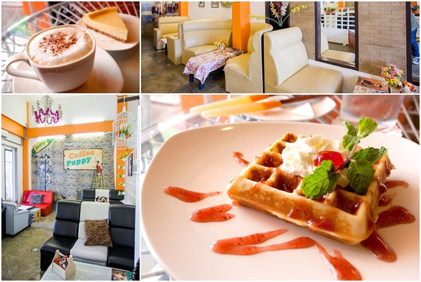 Coffee & Puppy ถนนแจ้งวัฒนะ