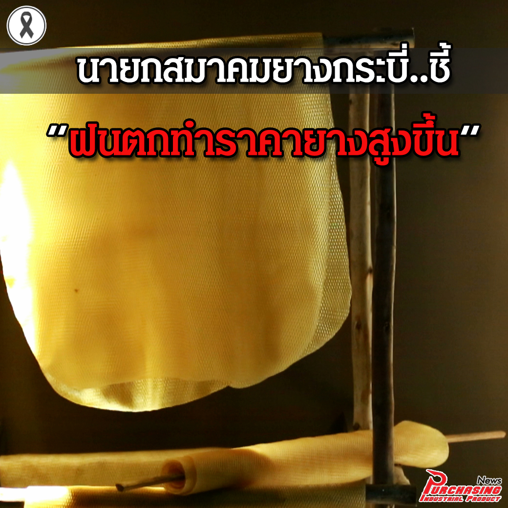 นายกสมาคมยางกระบี่ชี้ฝนตกทำราคายางสูงขึ้น