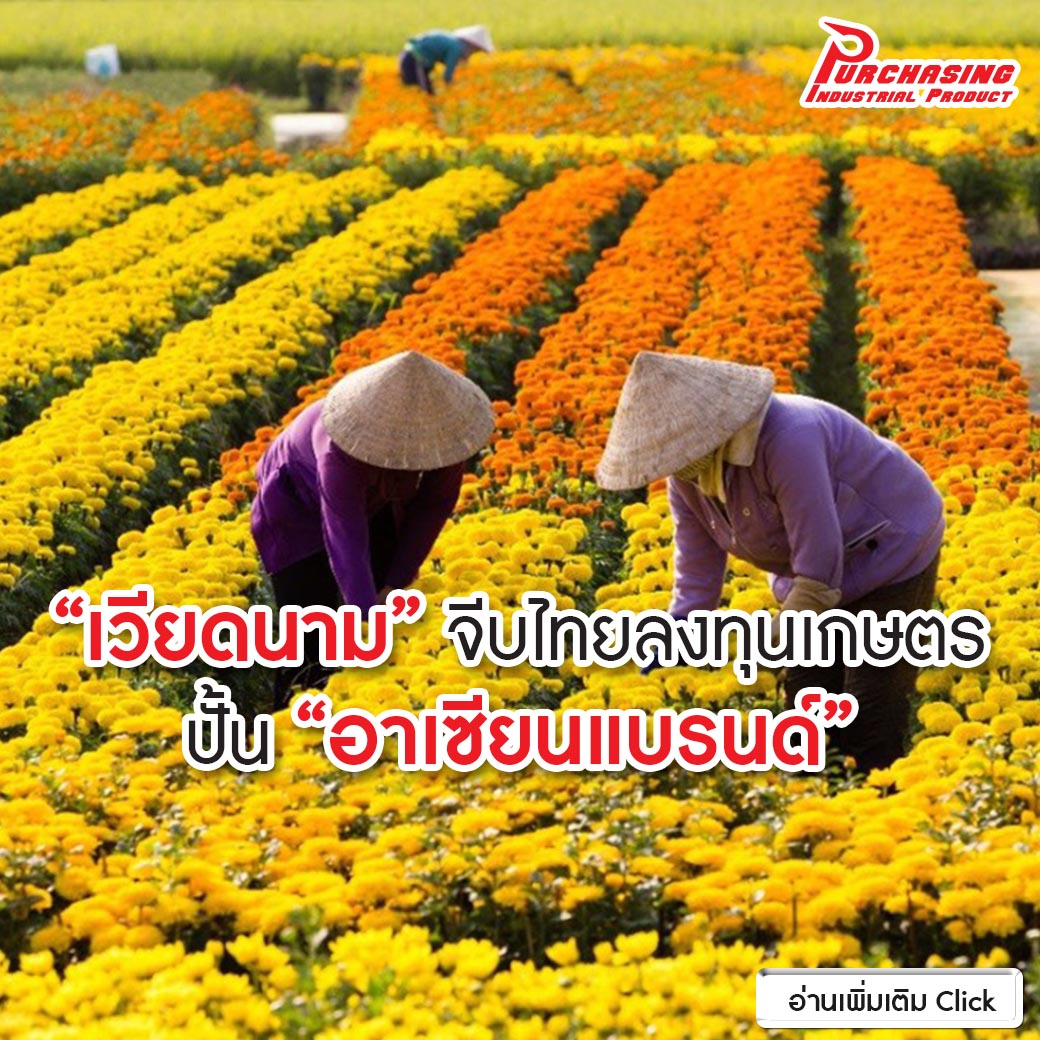 “เวียดนาม” จีบไทยลงทุนเกษตร ปั้น “อาเซียนแบรนด์”