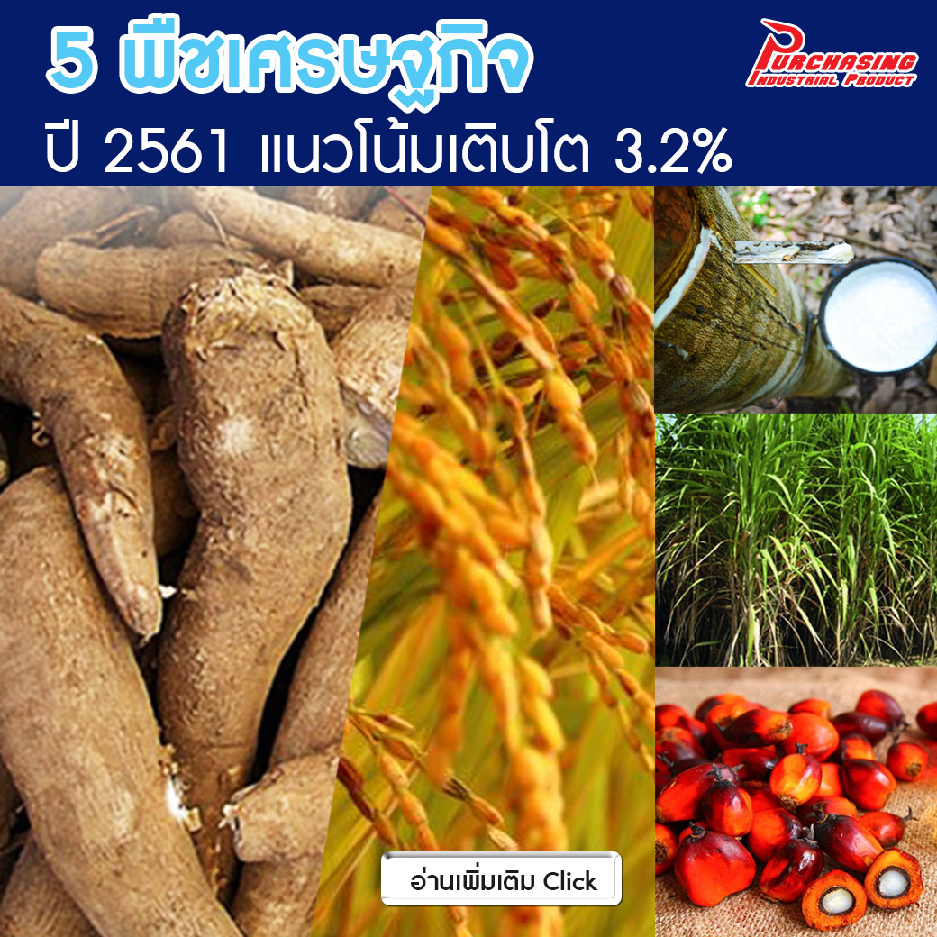 5 พืชเศรษฐกิจ ปี 2561 แนวโน้มเติบโต 3.2%
