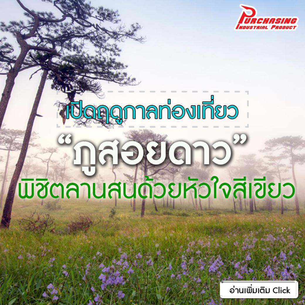 เปิดฤดูกาลท่องเที่ยว “ภูสอยดาว” พิชิตลานสน ด้วยหัวใจสีเขียว