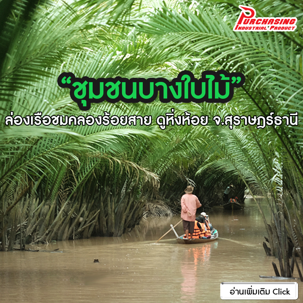 “ชุมชนบางใบไม้” ล่องเรือชมคลองร้อยสาย ดูหิ่งห้อย จ.สุราษฎร์ธานี