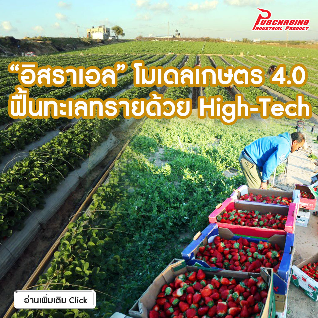 “อิสราเอล” โมเดลเกษตร 4.0 ฟื้นทะเลทรายด้วย High-Tech