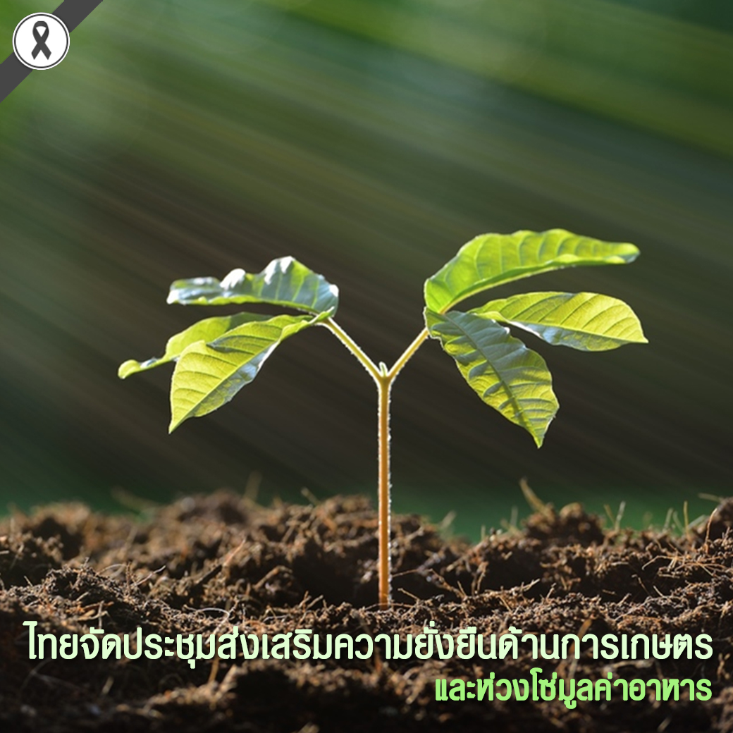 ไทยจัดประชุมส่งเสริมความยั่งยืนด้านการเกษตรและห่วงโซ่มูลค่าอาหาร