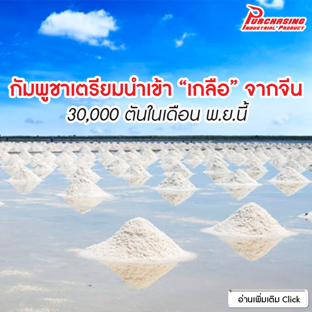 กัมพูชาเตรียมนำเข้า “เกลือ” จากจีน 30,000 ตันในเดือน พ.ย.นี้