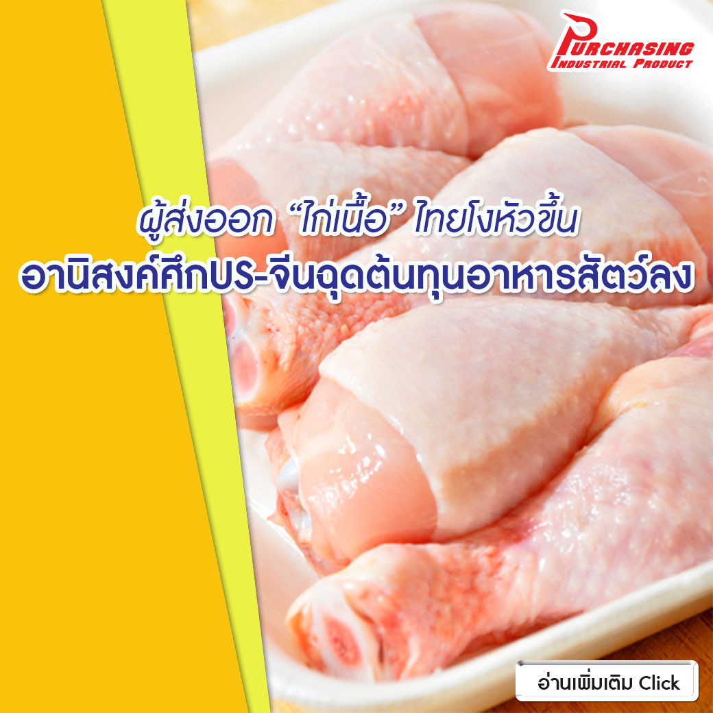 ผู้ส่งออก”ไก่เนื้อ”ไทยโงหัวขึ้น อานิสงส์ศึกUS-จีนฉุดต้ันทุนอาหารสัตว์ลง