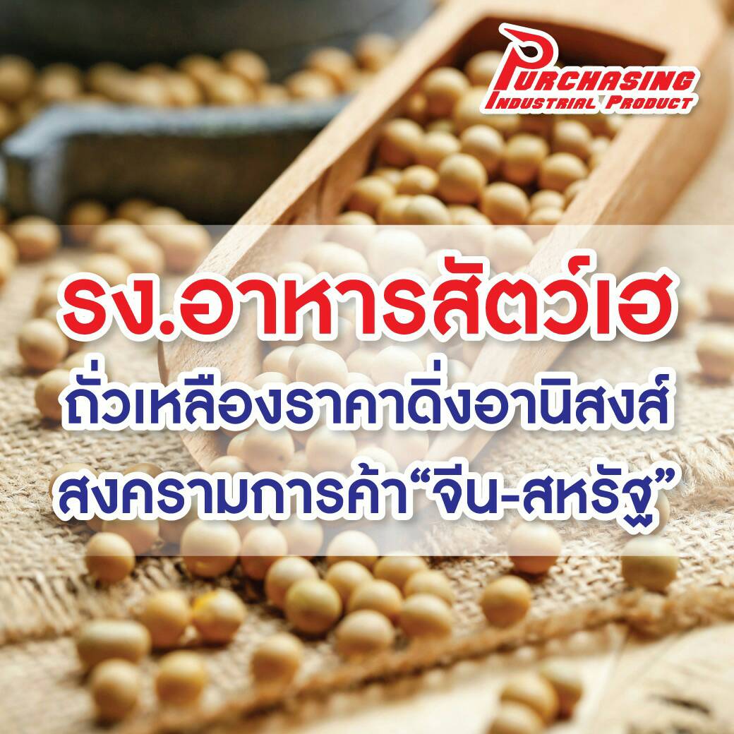 รง.อาหารสัตว์เฮถั่วเหลืองราคาดิ่ง อานิสงส์สงครามการค้า”จีน-สหรัฐ”