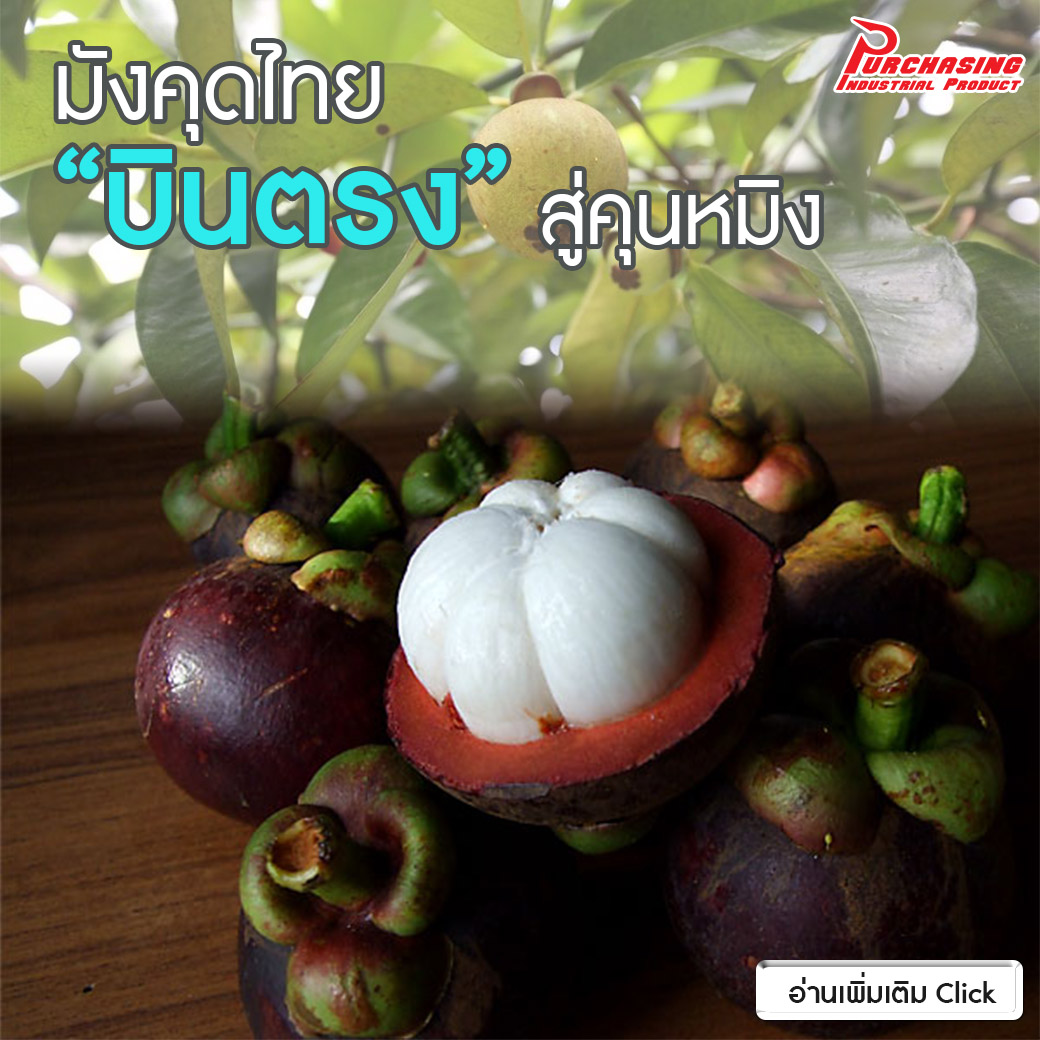 มังคุดไทย “บินตรง” สู่คุนหมิง