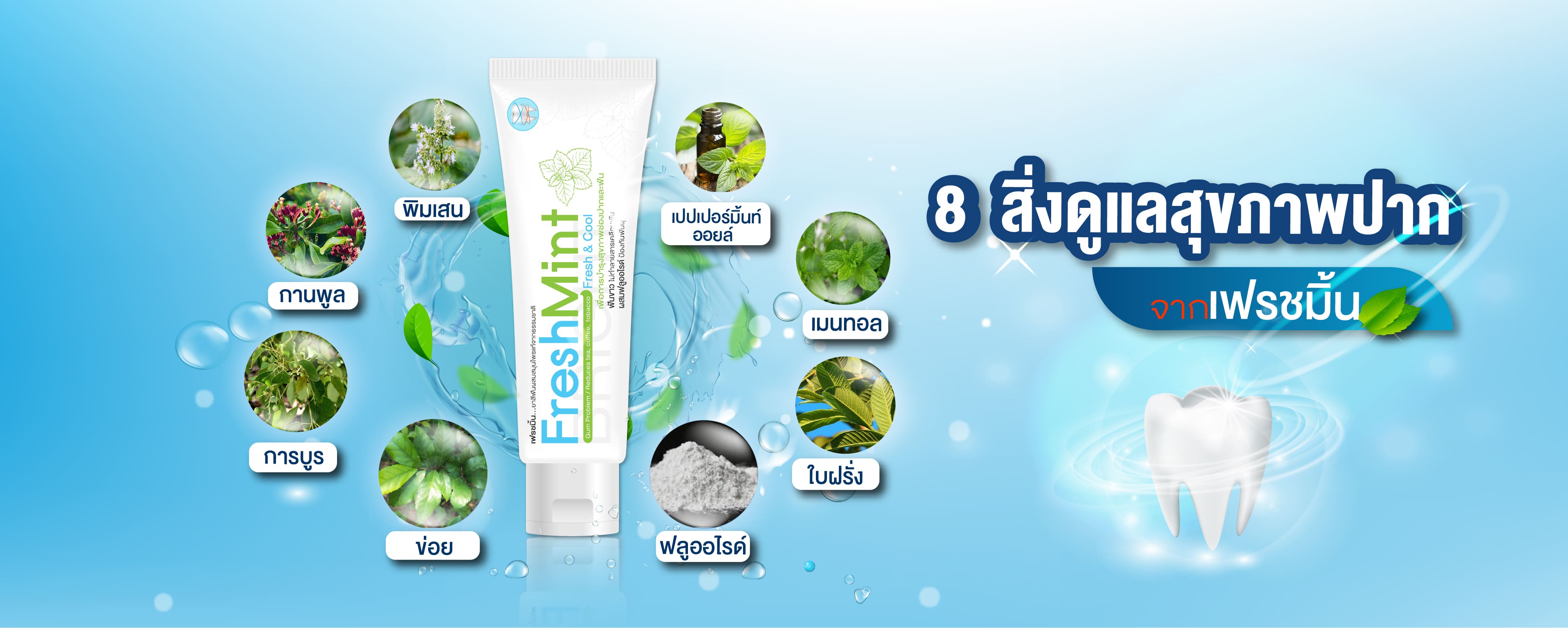 “พีไฟว์กรุ๊ป” รุกตลาดยาสีฟันสมุนไพรส่ง “เฟรชมิ้น” เจาะกลุ่มตลาดสำหรับคนรุ่นใหม่