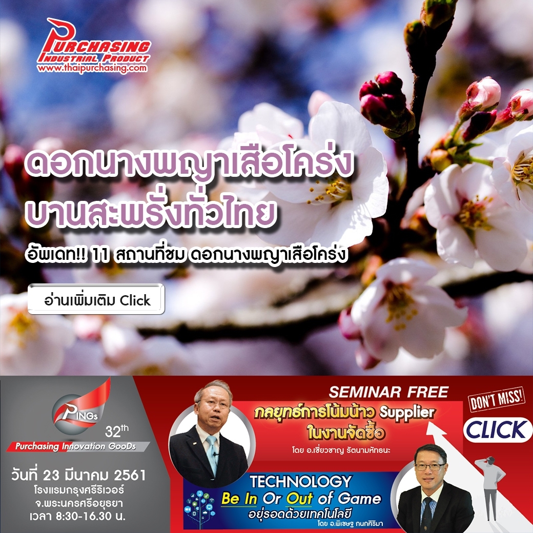  11 สถานที่ชม ดอกนางพญาเสือโคร่ง บานสะพรั่งทั่วไทย