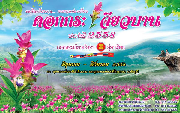 เทศกาลท่องเที่ยวดอกกระเจียวบาน ปี 2558