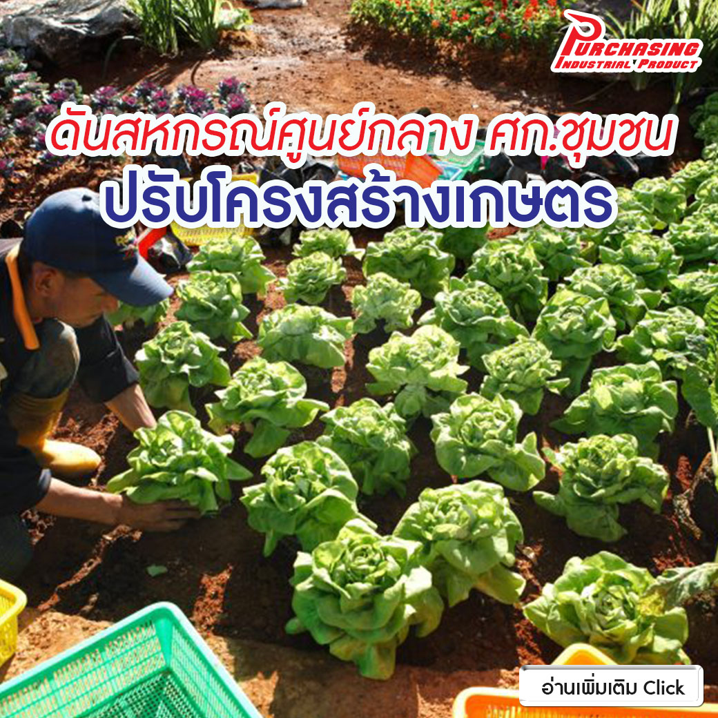 ดันสหกรณ์ศูนย์กลาง ศก.ชุมชน ปรับโครงสร้างเกษตร “ตลาดนำการผลิต”