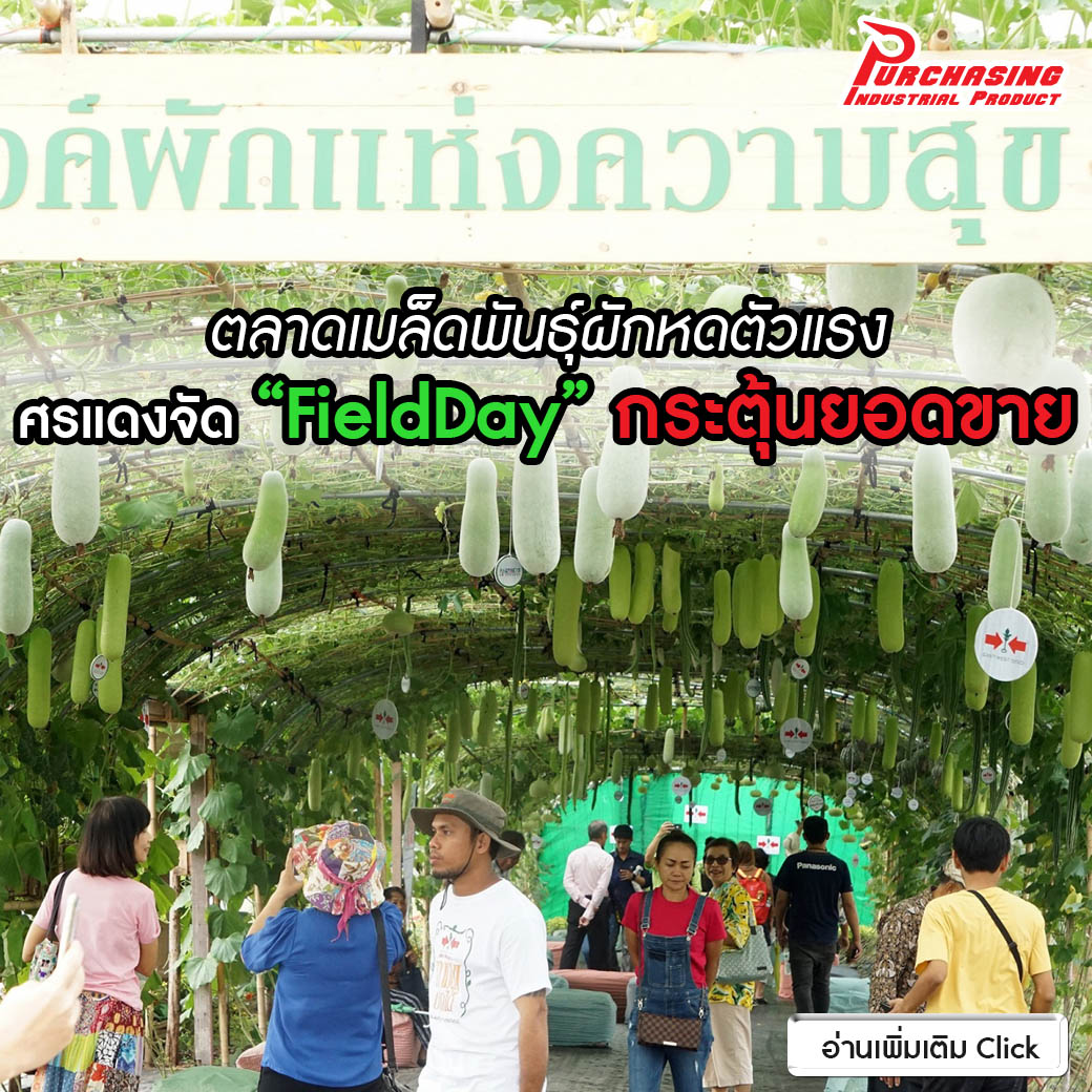 ตลาดเมล็ดพันธุ์ผักหดตัวแรง ศรแดงจัด”FieldDay”กระตุ้นยอดขาย