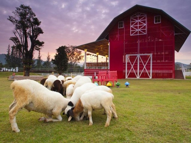 ที่เที่ยวสวนผึ้ง - 10 ที่เที่ยวสวนผึ้งยอดนิยม ไปแล้วห้ามพลาด!