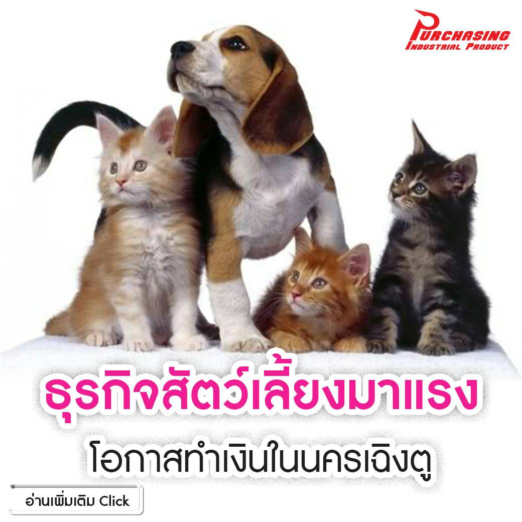 ธุรกิจสัตว์เลี้ยงมาแรง โอกาสทำเงินในนครเฉิงตู