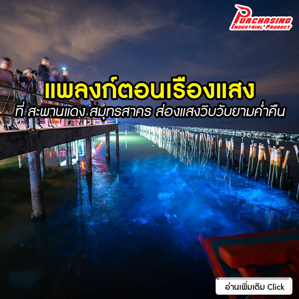 แพลงก์ตอนเรืองแสง ที่ สะพานแดง สมุทรสาคร ส่องแสงวิบวับยามค่ำคืน