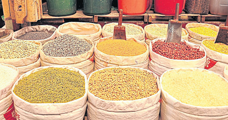 มหัศจรรย์แห่ง ‘ถั่วเมล็ดแห้ง’