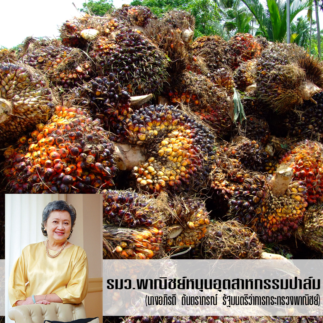 รมว.พาณิชย์หนุนอุตสาหกรรมปาล์ม