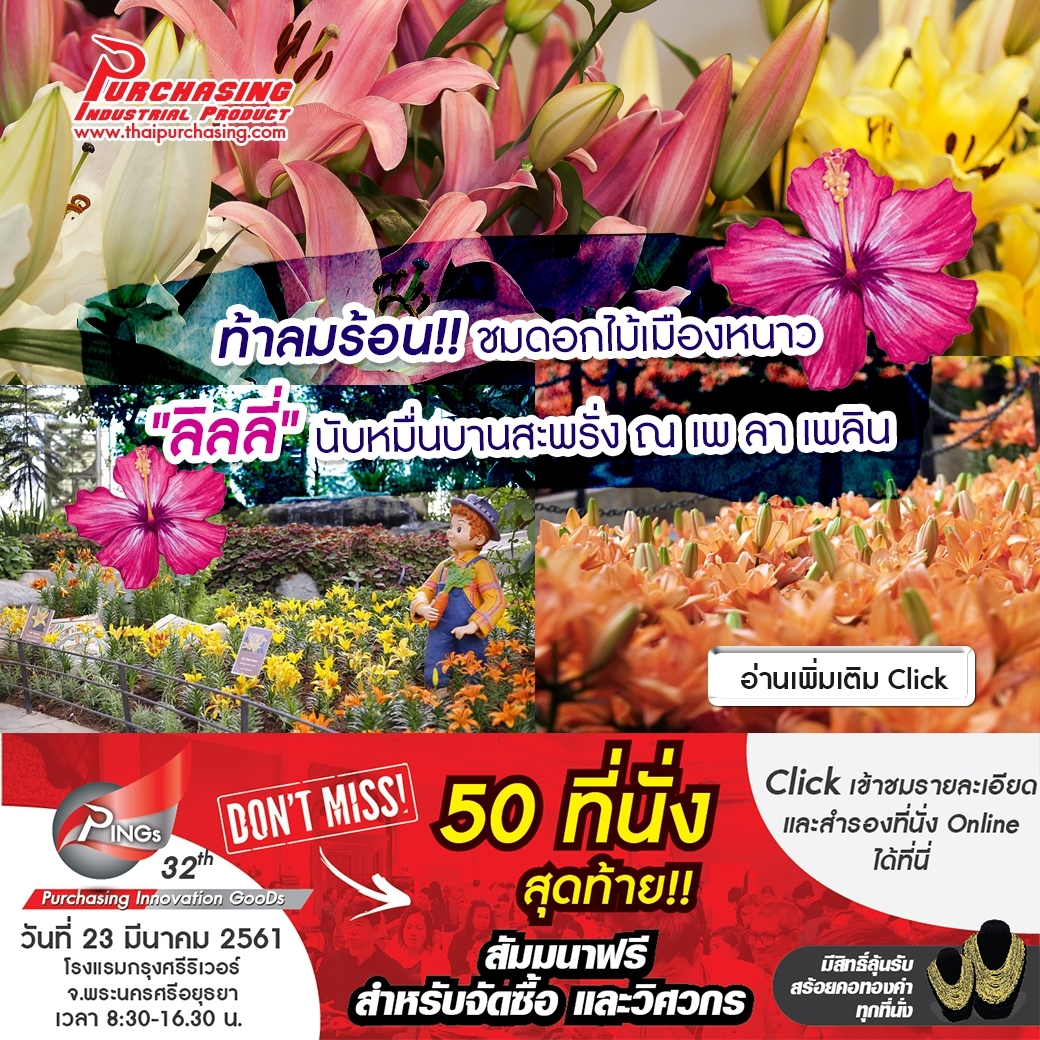 ท้าลมร้อน!! ชมดอกไม้เมืองหนาว 