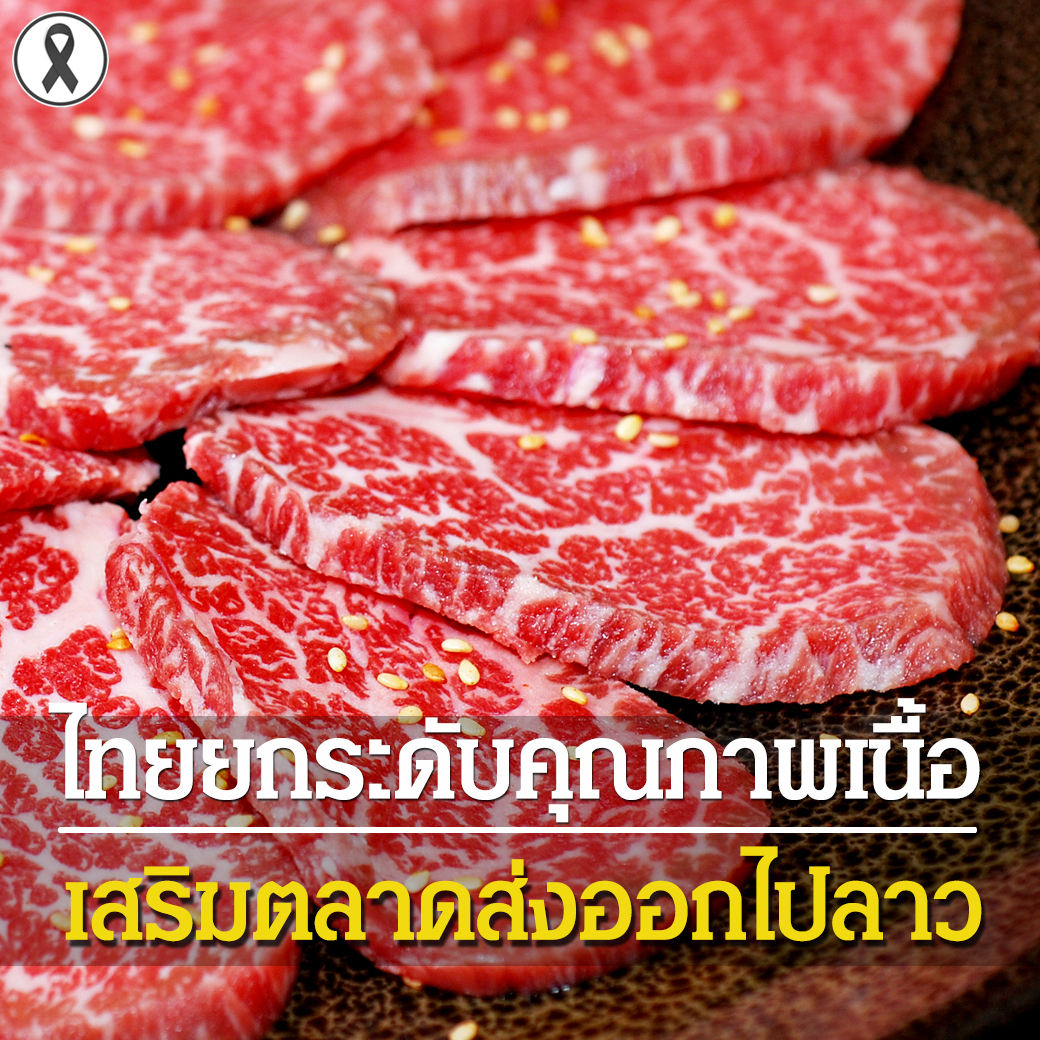 ไทยยกระดับคุณภาพเนื้อ เสริมตลาดส่งออกไปลาว