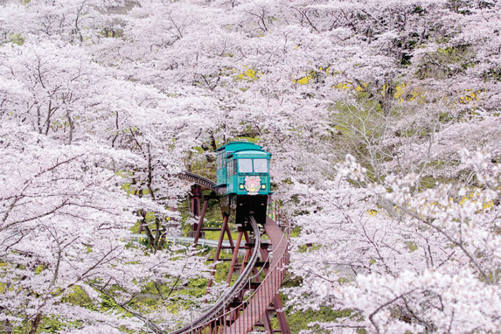 11 ไฮไลต์ “เซนได” เมืองสุดคูล เดสติเนชั่นมาแรงของญี่ปุ่น