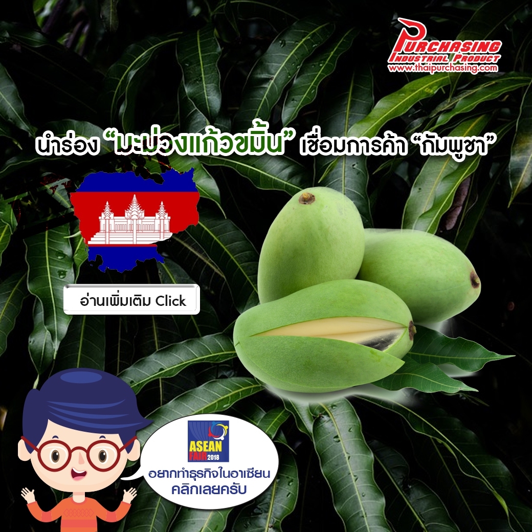 นำร่อง “มะม่วงแก้วขมิ้น” เชื่อมการค้า “กัมพูชา”