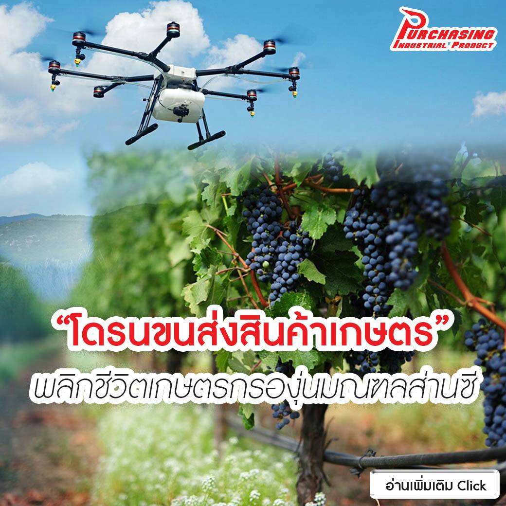 “โดรนขนส่งสินค้าเกษตร” พลิกชีวิตเกษตรกรองุ่นมณฑลส่านซี