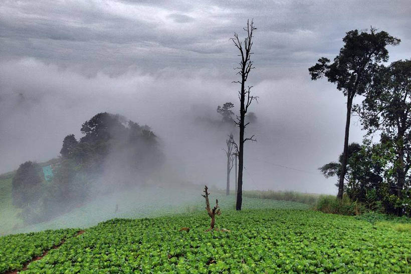 รวม 10 ม่อนสุดชิลแถมวิวยังสวยจังหวัดเชียงใหม่ ที่คุณต้องอย่าพลาด!