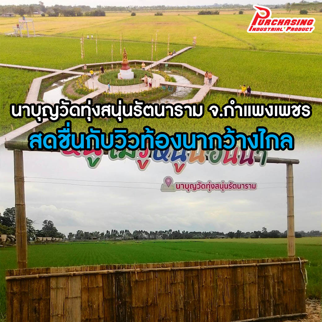 นาบุญวัดทุ่งสนุ่นรัตนาราม จ.กำแพงเพชร สดชื่นกับวิวท้องนากว้างไกล