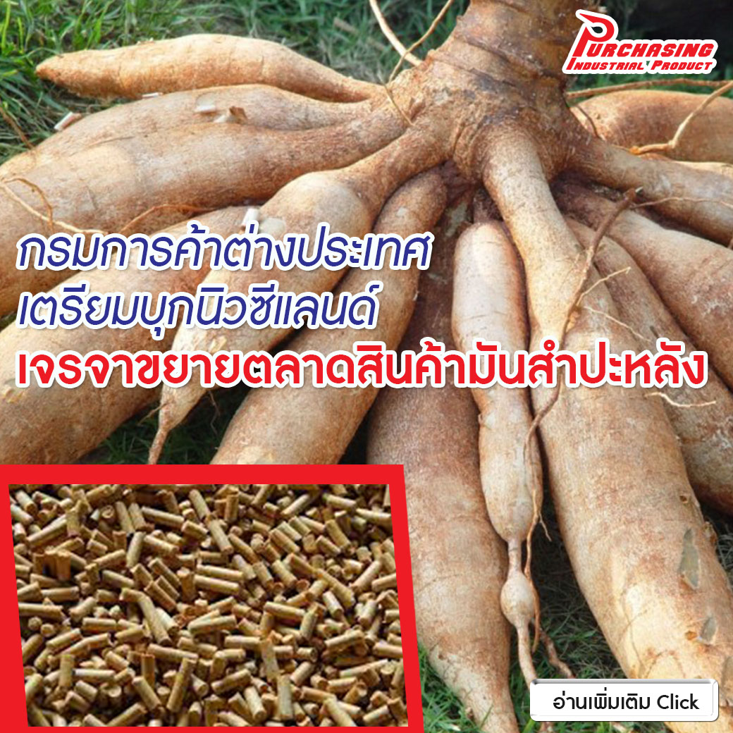 กรมการค้าต่างประเทศเตรียมบุกนิวซีแลนด์ เจรจาขยายตลาดสินค้ามันสำปะหลัง