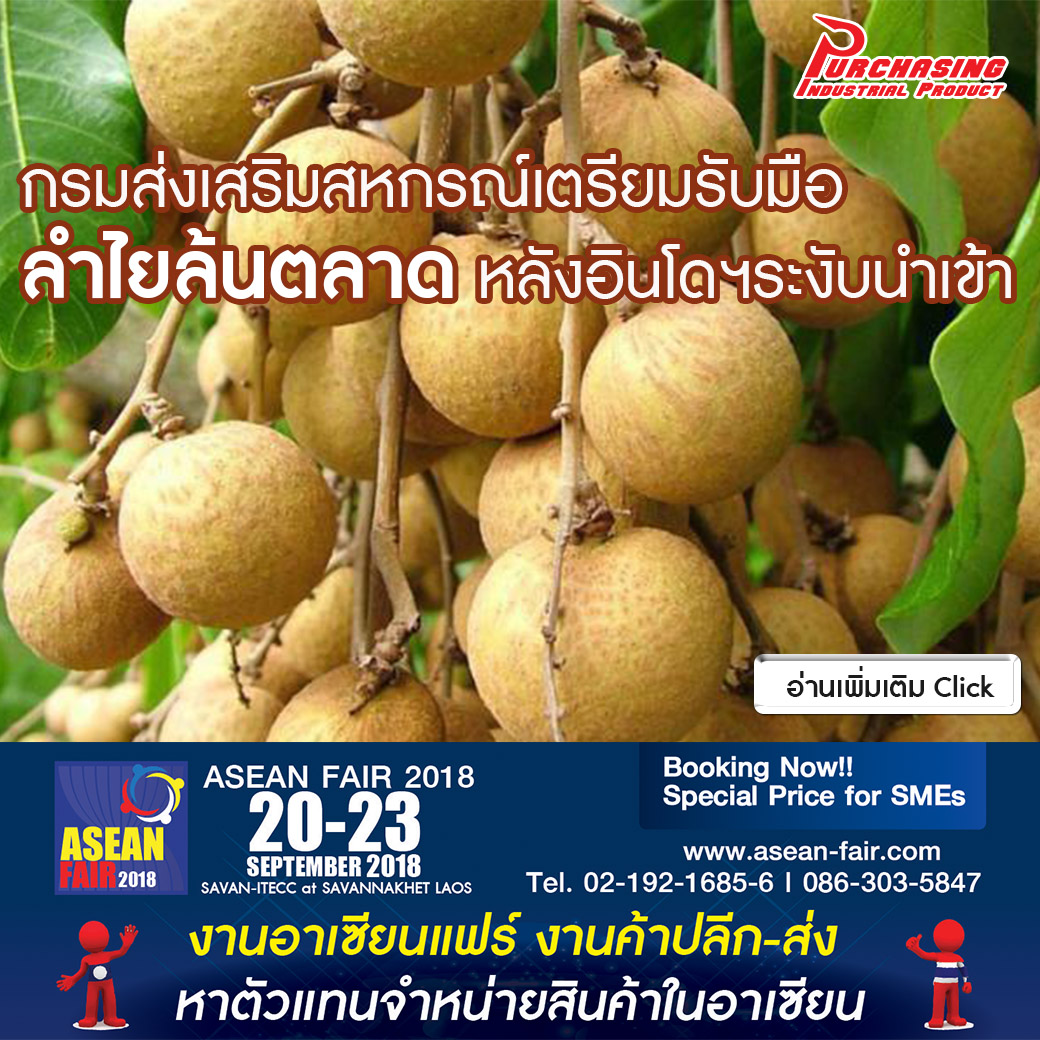 กรมส่งเสริมสหกรณ์เตรียมแผนรับมือลำไยล้นตลาด หลังอินโดฯระงับนำเข้า