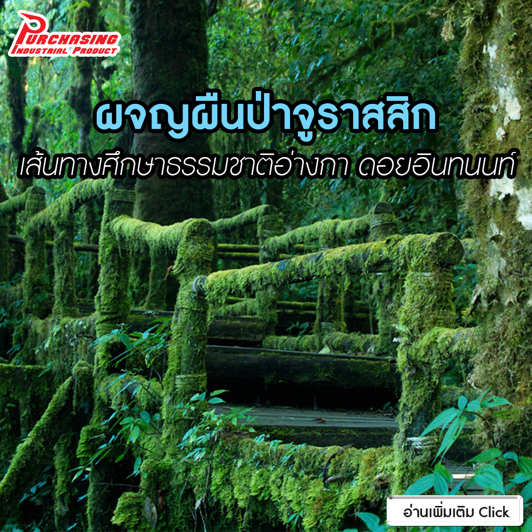 ผจญผืนป่าจูราสสิก เส้นทางศึกษาธรรมชาติอ่างกา ดอยอินทนนท์