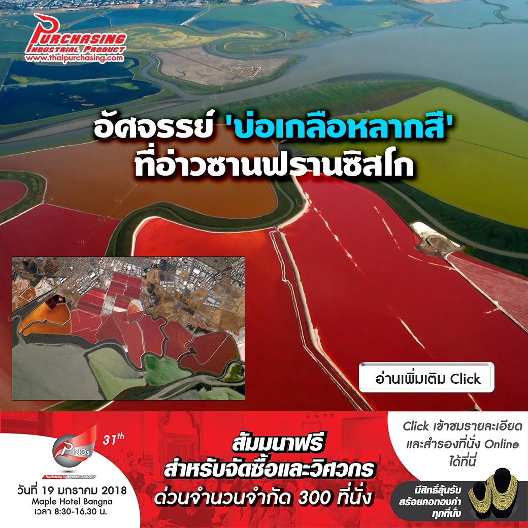 อัศจรรย์ 'บ่อเกลือหลากสี' ที่อ่าวซานฟรานซิสโก