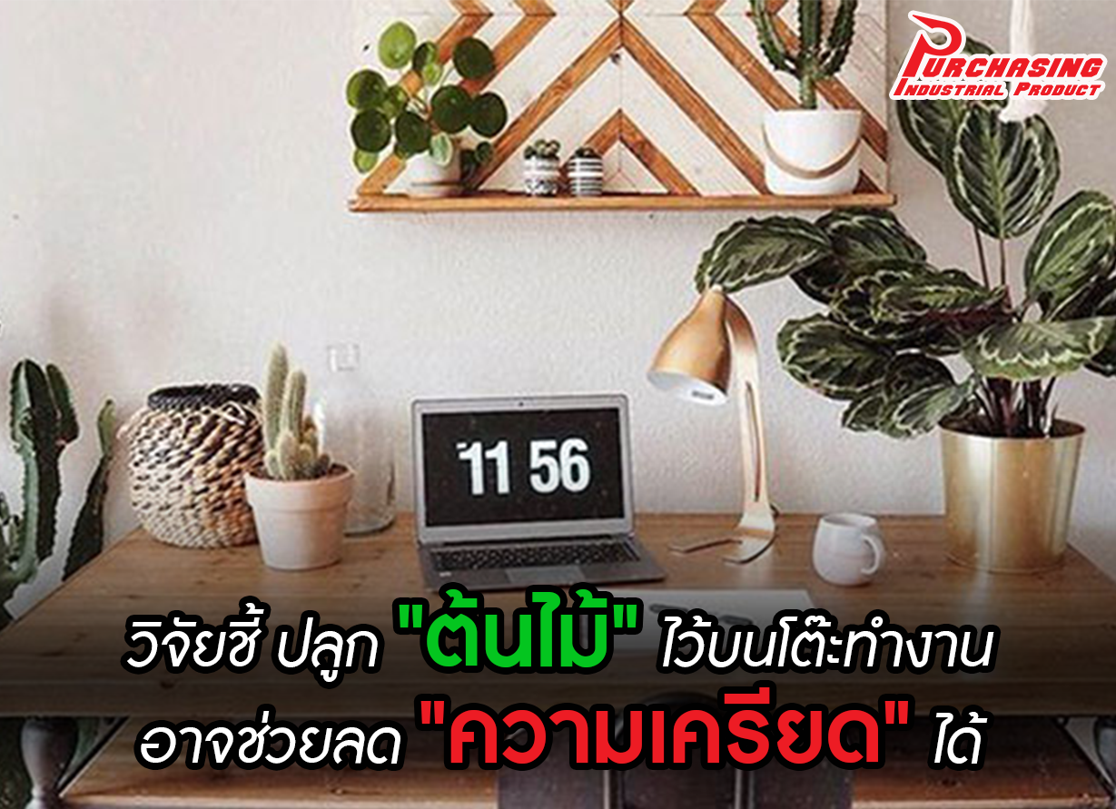 วิจัยชี้ ปลูก 