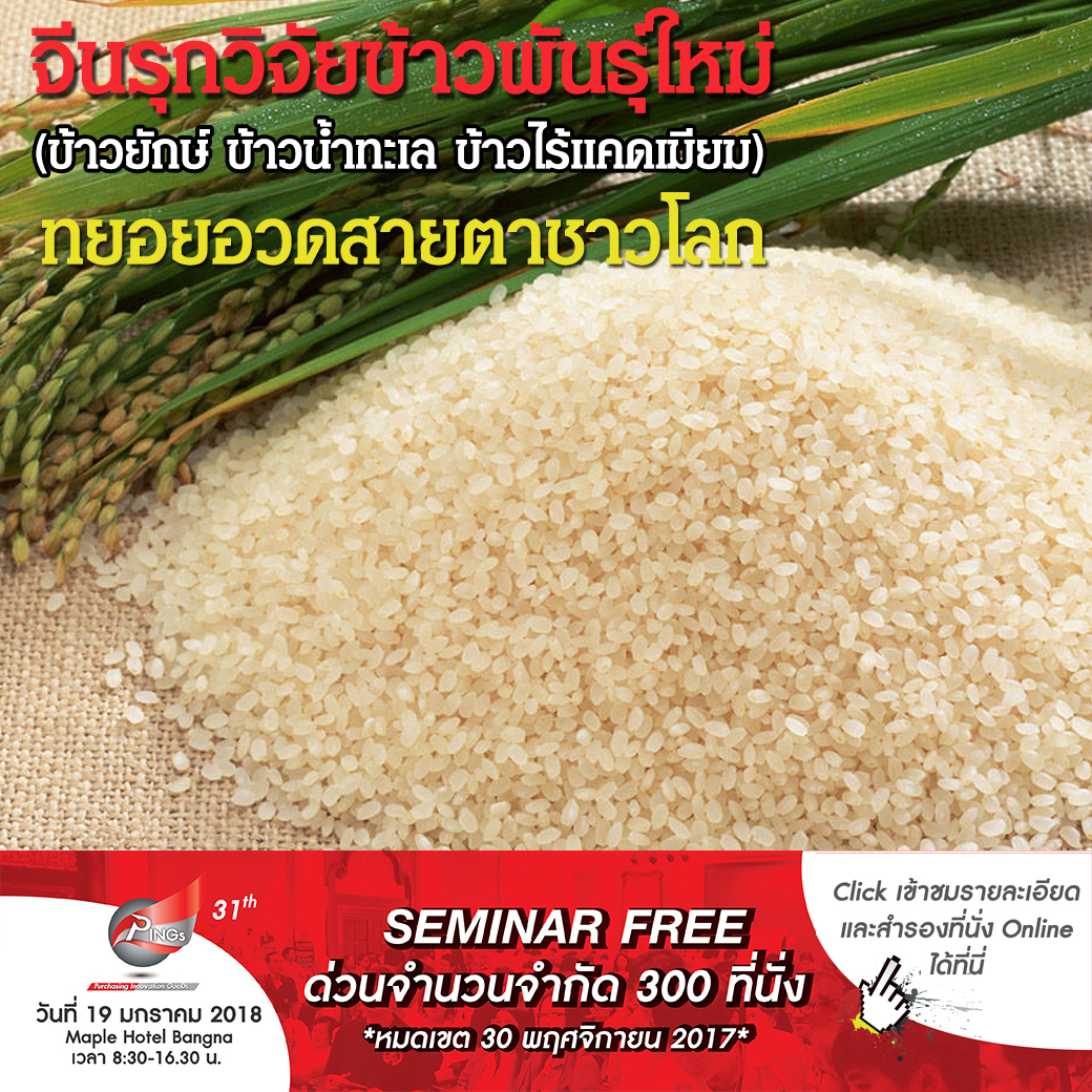 จีนรุกวิจัยข้าวพันธุ์ใหม่ (ข้าวยักษ์ ข้าวน้ำทะเล ข้าวไร้แคดเมียม) ทยอยอวดสายตาชาวโลก